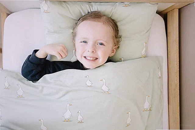 Duvet Cover, Soft and 100% Organic Cotton Crib, , Travel Size, 37" x 51", Cov...